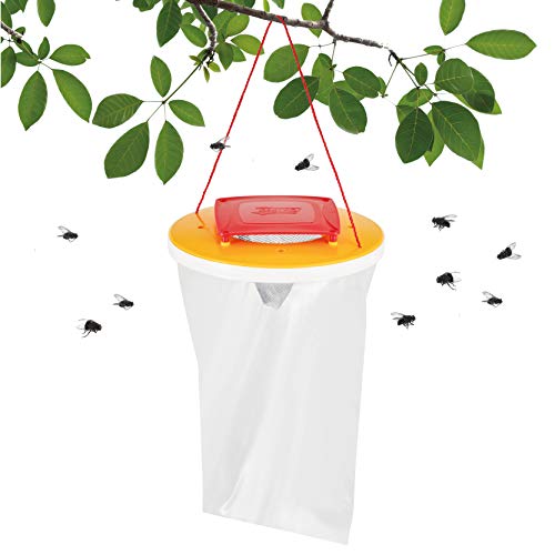 Redtop Flycatchers Standard Size - 100% Non-Toxic Disposable Outdoor Fly Trap - Designed to Attract Egg-Laying Females (4)