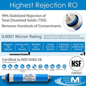 AMI Reverse Osmosis Filter & Membranes Replacement | 1 Year Supply | 50 GPD Membrane with Pre & Post Filter | for 5 Stage Water Filtration Systems (50 GPD Membrane + Filters - 1 Year Supply)…