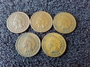 1900 thru 1909 various indian head pennies 5 different dates - in gift bag indian head good and better