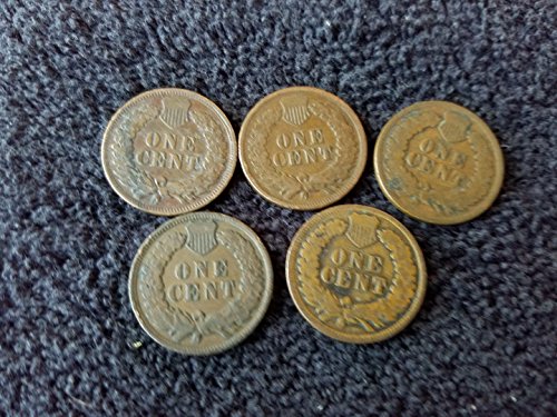 1900 thru 1909 Various Indian Head Pennies 5 Different Dates - in Gift Bag Indian Head Good and Better
