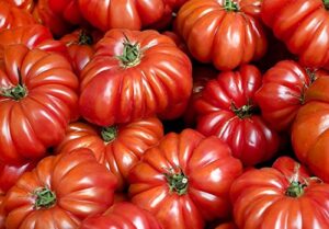 30+ costoluto genovese pomodoro tomato seeds, heirloom non-gmo, low acid, indeterminate, open-pollinated, productive from usa