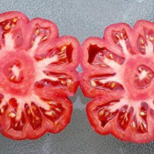 30+ Costoluto Genovese Pomodoro Tomato Seeds, Heirloom Non-GMO, Low Acid, Indeterminate, Open-Pollinated, Productive from USA