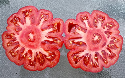 30+ Costoluto Genovese Pomodoro Tomato Seeds, Heirloom Non-GMO, Low Acid, Indeterminate, Open-Pollinated, Productive from USA