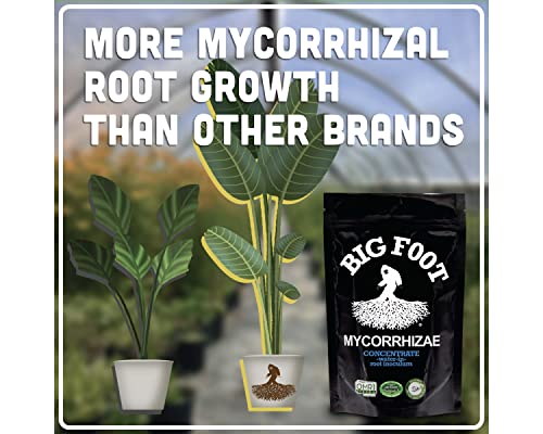 Big Foot Water-in Brew - Soil Drench and Organic Fertilizer | Mycorrhizae + Worm Castings + Kelp + Azomite,+ Biochar + Humic Acid - (8 oz)