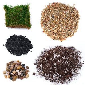 terragreen creations succulent planter kit with soil, gravel, pebble, moss, horticulture charcoal, supplies for fairy gardens, or cactus - create your own terrarium