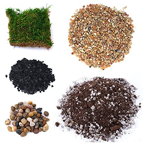 TerraGreen Creations Succulent Planter Kit with Soil, Gravel, Pebble, Moss, Horticulture Charcoal, Supplies For Fairy Gardens, or Cactus - Create Your Own Terrarium