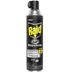raid wasp & hornet killer spray, 17.5 oz (3 pack)