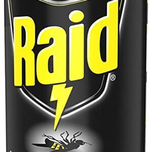 Raid Wasp & Hornet Killer Spray, 17.5 OZ (3 Pack)