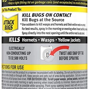 Raid Wasp & Hornet Killer Spray, 17.5 OZ (3 Pack)