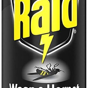 Raid Wasp & Hornet Killer Spray, 17.5 OZ (3 Pack)