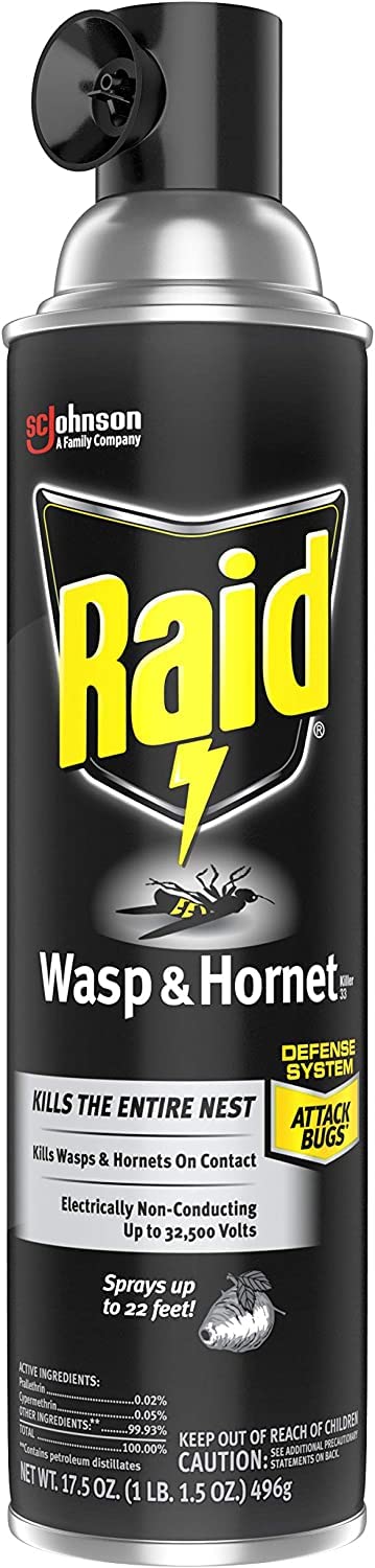 Raid Wasp & Hornet Killer Spray, 17.5 OZ (3 Pack)