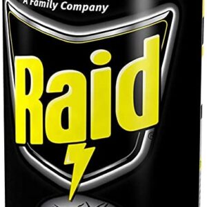 Raid Wasp & Hornet Killer Spray, 17.5 OZ (3 Pack)