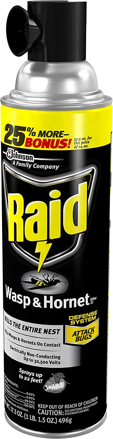 Raid Wasp & Hornet Killer Spray, 17.5 OZ (3 Pack)