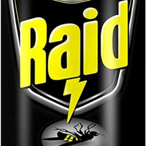 Raid Wasp & Hornet Killer Spray, 17.5 OZ (3 Pack)