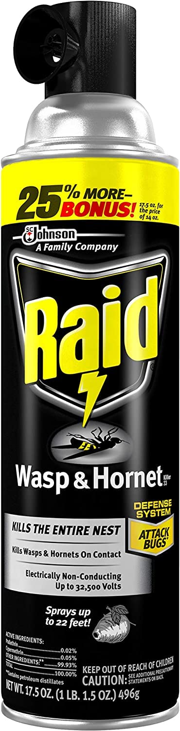 Raid Wasp & Hornet Killer Spray, 17.5 OZ (3 Pack)