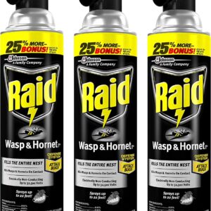 Raid Wasp & Hornet Killer Spray, 17.5 OZ (3 Pack)