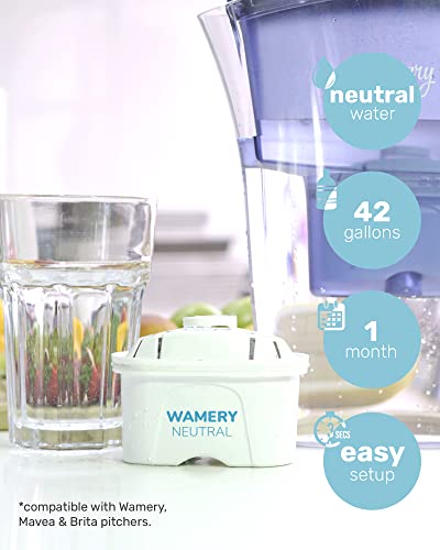 Wamery Replacement Filters 3 Pack for Brita Maxtra, Marella, Mavea Water Filter Pitcher. Cartridge Model 1001122