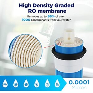 Membrane Solutions Reverse Osmosis Membrane 50 GPD 11.75"x1.75" RO Membrane Water Filter Replacement Fits Under Sink RO Drinking Water Purifier System 1-Pack