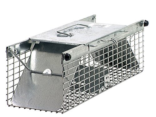 Havahart 1025 Two Door Squirrel Trap Cage