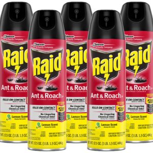 Raid Ant & Roach Spray Defense System, Lemon Scent, Attacks Bugs & Kills on Contact for up to 4 Weeks, No Lingering Chemical Odor, 17.5-Ounce (Pack of 5)