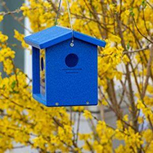 Kettle Moraine Recycled Bluebird Mealworm Feeder Hang or Mount (Blue, Blue)