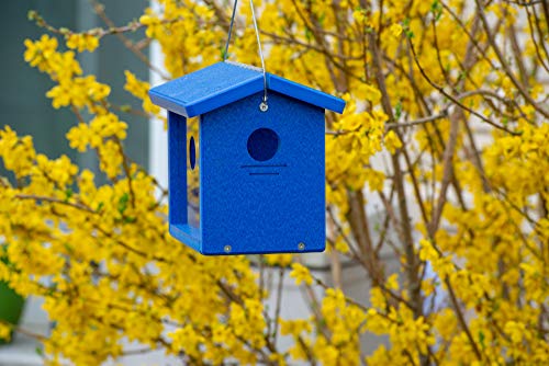 Kettle Moraine Recycled Bluebird Mealworm Feeder Hang or Mount (Blue, Blue)