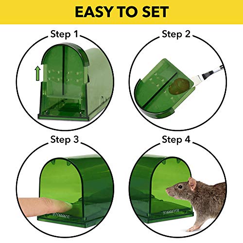 Harris Humane Mouse Trap, Catch and Release, 3-Pack