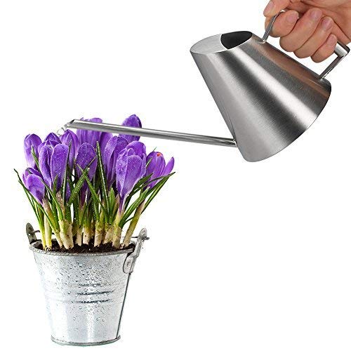 Fasmov 13.5 Oz Stainless Steel Watering Can Modern Style Watering Pot, Small Watering Can for Indoor Plants Houseplant Succulents Bonsai Office Desk Stainless Steel Mini Watering Can with Long Spout