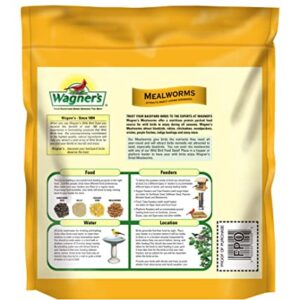 Wagner's 58005 Mealworms Wild Bird Food, 18-Ounce Bag