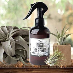 Cute Farms Tillandsia Air Plant Fertilizer | Gentle Daily Use Formula Plant Food with Care Guide | Formulated Nutrients for Air Plants (Two - 8 oz. Spray Bottles)