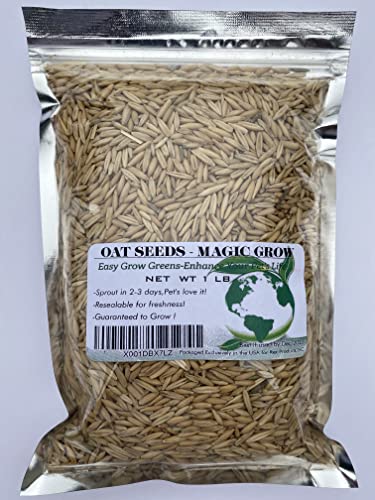 Cat Grass(Sweet Oats for Cats) 1LB (3000 + Seeds) -Easy Grow Greens-Great Value!