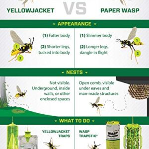 RESCUE! Yellowjacket Attractant – for RESCUE! Reusable Yellowjacket Traps – 4 Week Supply - 20 Pack