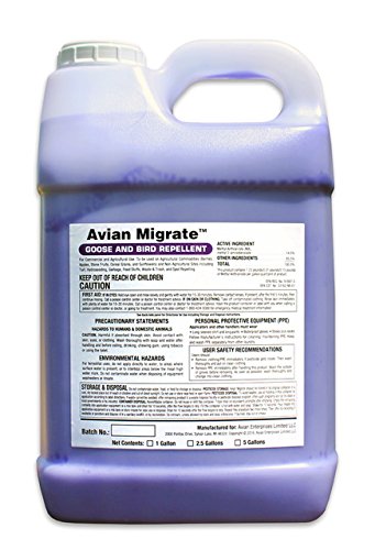 Avian Migrate Goose Deterrent, Bird Repellent Concentrate, Geese Repellent, Non-Toxic, Made in The USA, Removes Geese from Beaches, Yards, Ponds, Parks and Ground (2.5 Gallon)