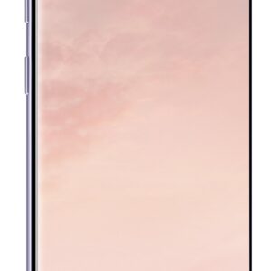 Samsung Galaxy S8 SM-G950F Unlocked 64GB - International Version/No Warranty (GSM) (Orchid Grey)