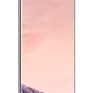 Samsung Galaxy S8+ 64GB Phone- 6.2" Display - T-Mobile Unlocked (Orchid Gray)