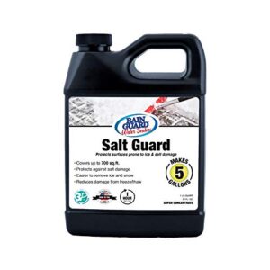 rain guard water sealers sp-1005 salt guard super concentrate - protects from road salt, freeze thaw, and ice damage - covers up to 700 sq. ft., 32 oz makes 5 gallons