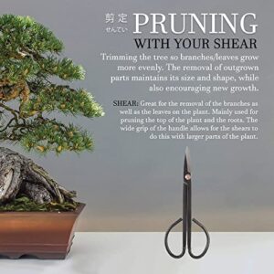 BambooMN 7.2" Black Bonsai Trimming Shear - 1 Piece