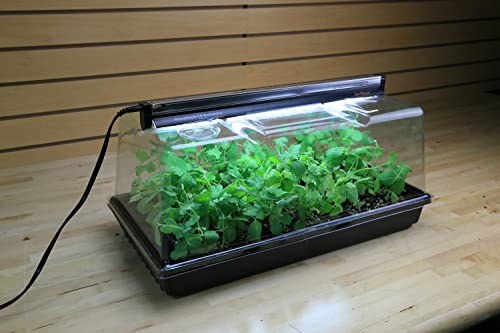 Super Sprouter Deluxe Propagation Kit for Starting Seeds or Cuttings, Includes Humidity Dome, Tray, Grow Light, and Booklet