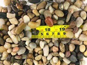 rg() 1 pack: polished mixed color stones small decorative river rock stones 1lbs (small)