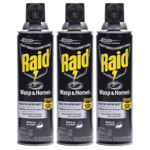 raid wasp & hornet killer spray (14 ounce (pack of 3)