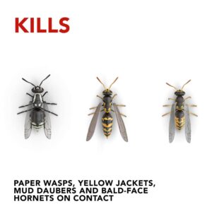 Raid Wasp & Hornet Killer Spray (14 Ounce (Pack of 3)