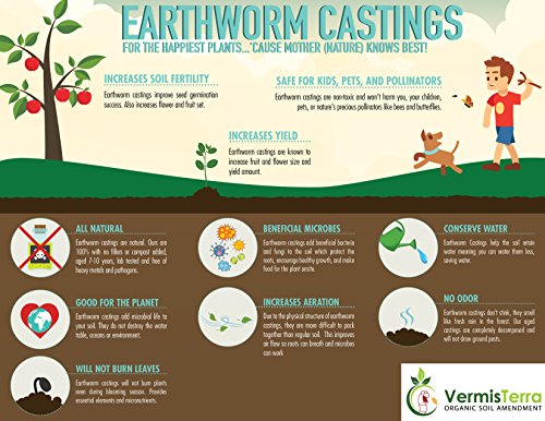 VermisTerra Earthworm Casting Tea - Organic Worm Tea - Gallon - Soil Conditioner Concentrate - Living Enzymes, Nourish Plants and Boost Growth - Feeds All Crops: Vegetables, Flowers, Fruit and Trees