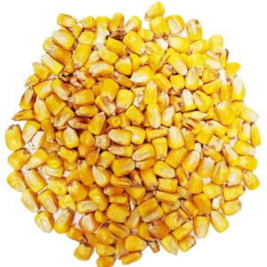 Bulk Whole Corn for Wildlife Feeding (1, 50 Pounds)