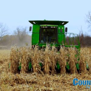 Bulk Whole Corn for Wildlife Feeding (1, 50 Pounds)