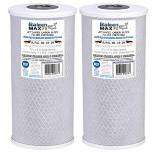 2-pack of baleen filters 10" x 4.5" 10 micron coconut shell performance carbon filter cartridge replacement for hdx cb-45-1010, pentek epm-bb