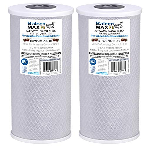 2-Pack of Baleen Filters 10" x 4.5" 10 Micron Coconut Shell Performance Carbon Filter Cartridge Replacement for HDX CB-45-1010, Pentek EPM-BB