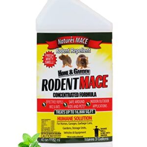 Nature’s MACE Rodent Repellent 40oz Concentrate/Covers 16,800 Sq. Ft. / Repel Mice & Rats/Keep mice, Rats & Rodents Out of Home, Garage, attic, and Crawl Space/Safe to use Around Children & Pets