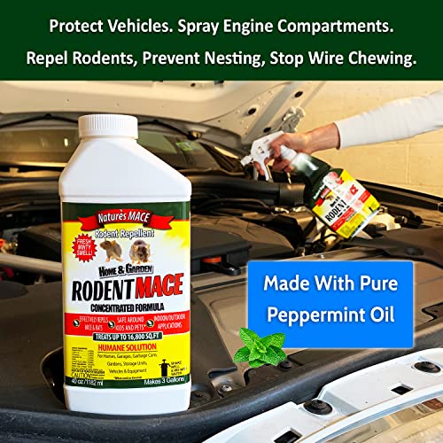 Nature’s MACE Rodent Repellent 40oz Concentrate/Covers 16,800 Sq. Ft. / Repel Mice & Rats/Keep mice, Rats & Rodents Out of Home, Garage, attic, and Crawl Space/Safe to use Around Children & Pets