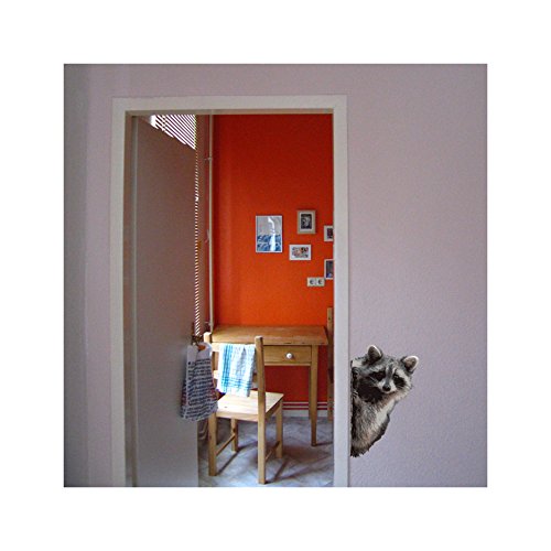 Raccoon Peering Around Wall Decal - 7" wide x 11" tall