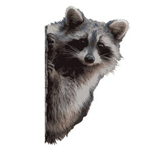 raccoon peering around wall decal - 7" wide x 11" tall
